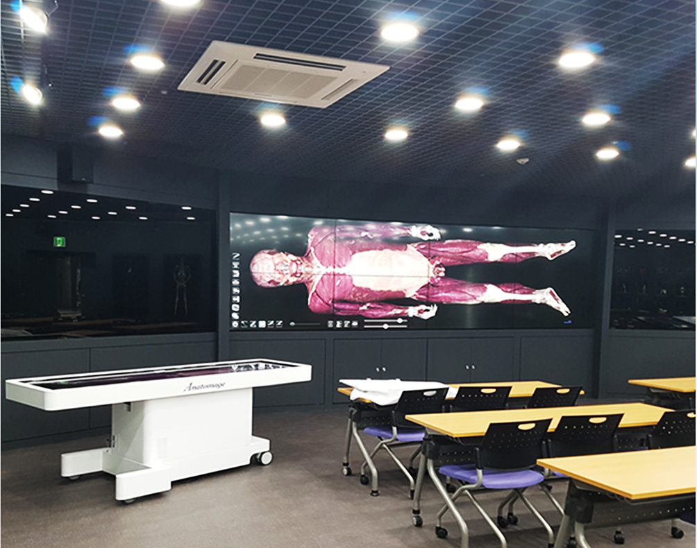 康复辅助技术赋能，专业咨询助力患者回归健康生活,康复辅助技术咨询,技术咨询,技术咨询是指,第1张