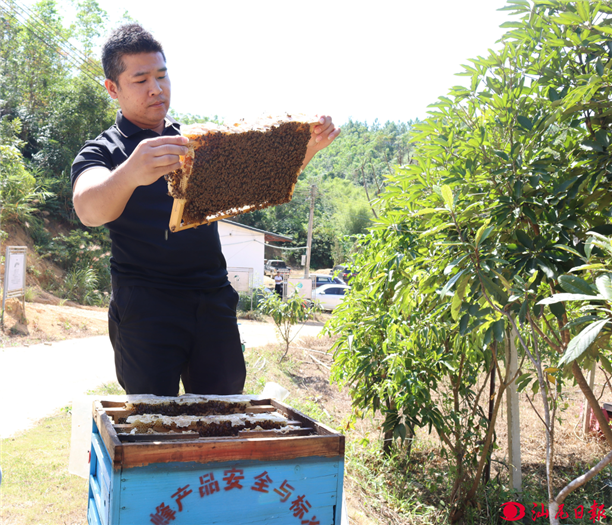 构建养蜂业健康发展桥梁的养蜂技术咨询合同,养蜂技术咨询合同,技术咨询,提供技术咨询,技术咨询合同,第1张