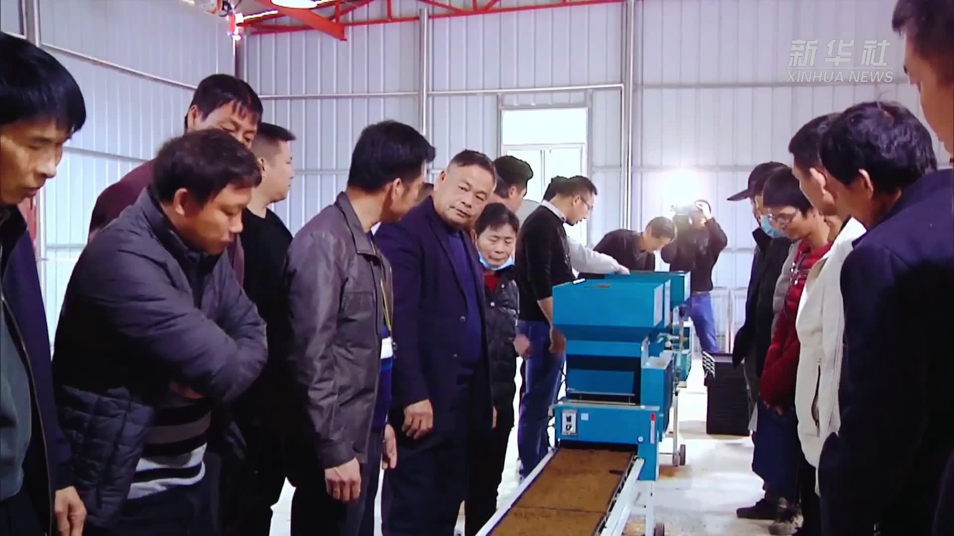 福建农业技术咨询，农民增收的智慧金钥匙,福建农业技术咨询价格,技术咨询,农业技术咨询,第1张