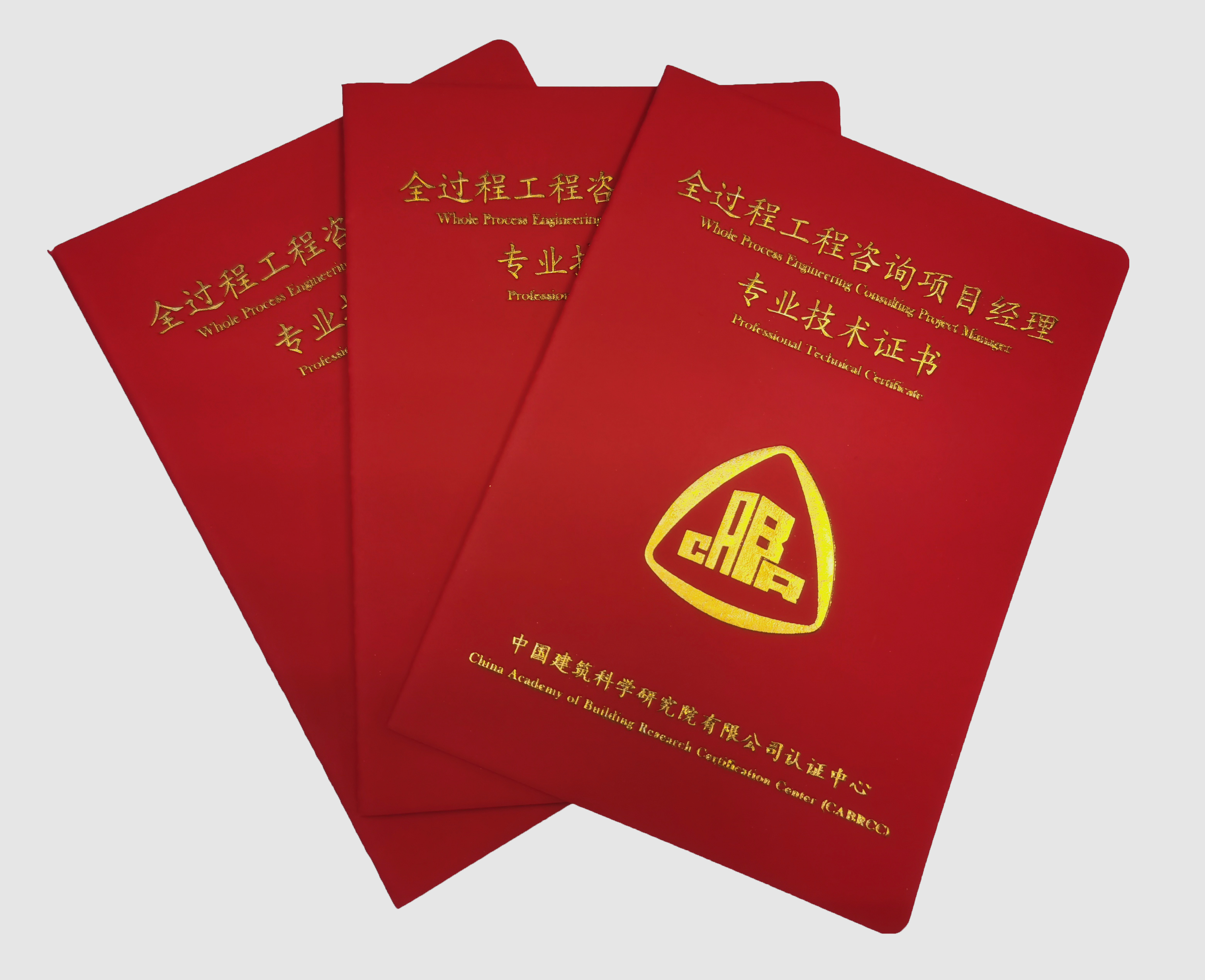 项目实施关键步骤与要点咨询记录范文解析,专业技术咨询记录范文,技术咨询,专业技术咨询,第1张