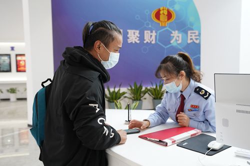 国税平台技术助力税务工作迈向高效新时代,随着我国税收体系的日益成熟和税收业务的不断繁杂，国税部门对信息化建设的投入和需求持续增强，在此背景下，国税平台技术咨询应运而生，为税务工作的高效推进提供了坚实的保障，本文将深入探讨国税平台技术咨询的背景、作用及实施策略。,国税平台技术咨询,技术咨询,第1张