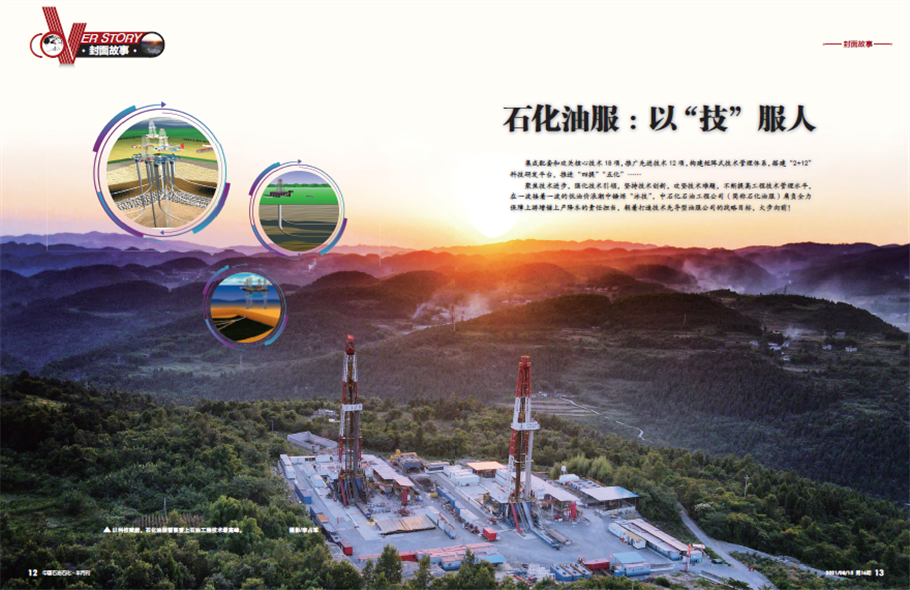 化工石油技术咨询服务，企业稳健发展的坚实后盾,化工石油专业技术咨询,技术咨询,专业技术咨询,第1张